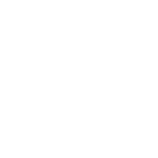 Fotografia icon